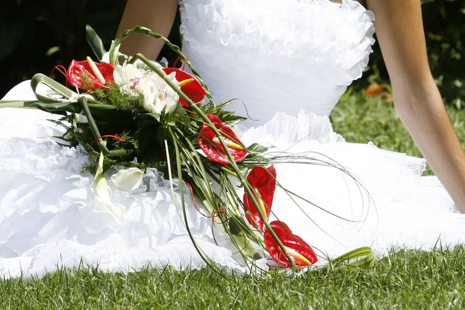 GregB Photographe — photo 3