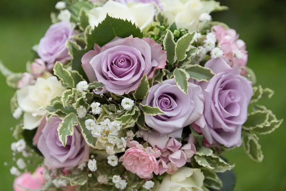 Laurence Brassamin — photo 6