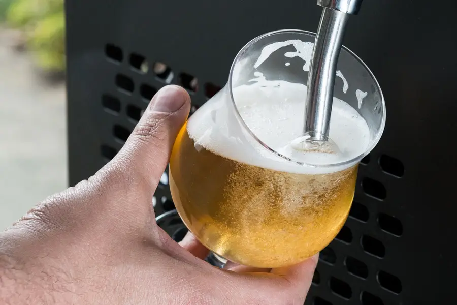 C & Wine — photo 5