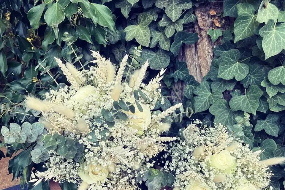 Gueule de loup — photo 6