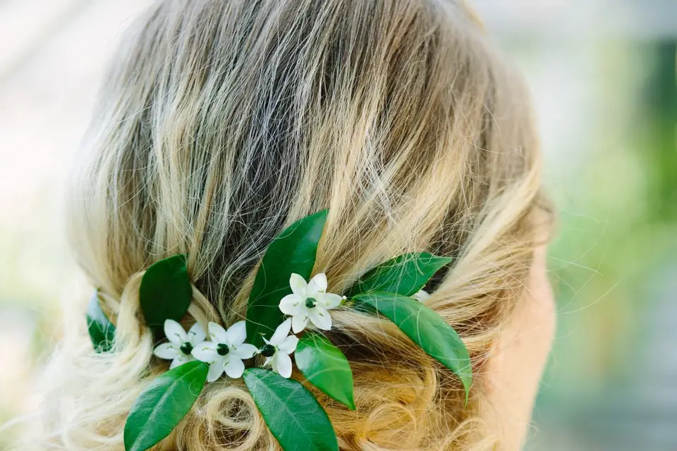 Les Coquettes — photo 6