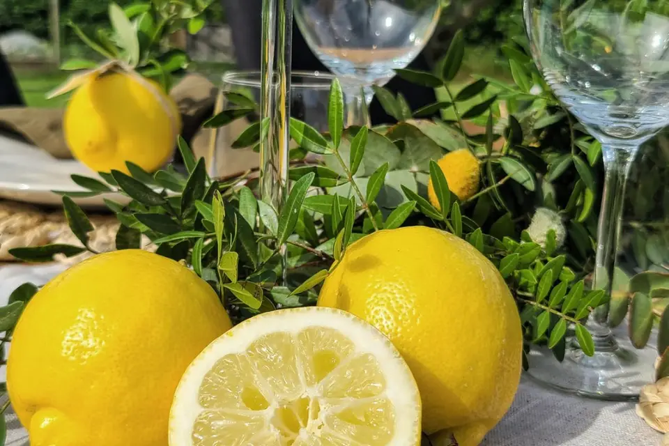 Grain de Sel — photo 3