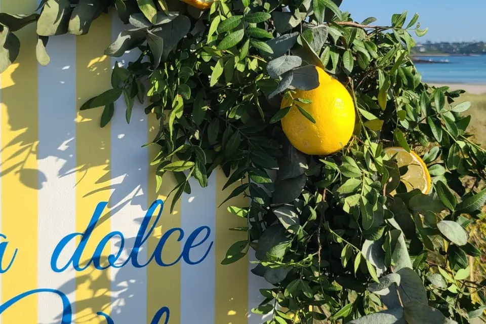 Grain de Sel — photo 8