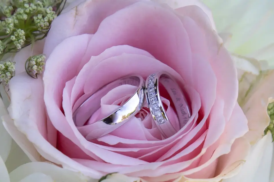 Les Filtres Passion d’Anne