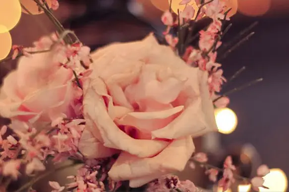 Les Créations d'Aimée — photo 2