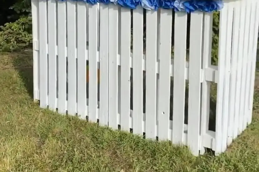 Community Impact Agency — photo 2