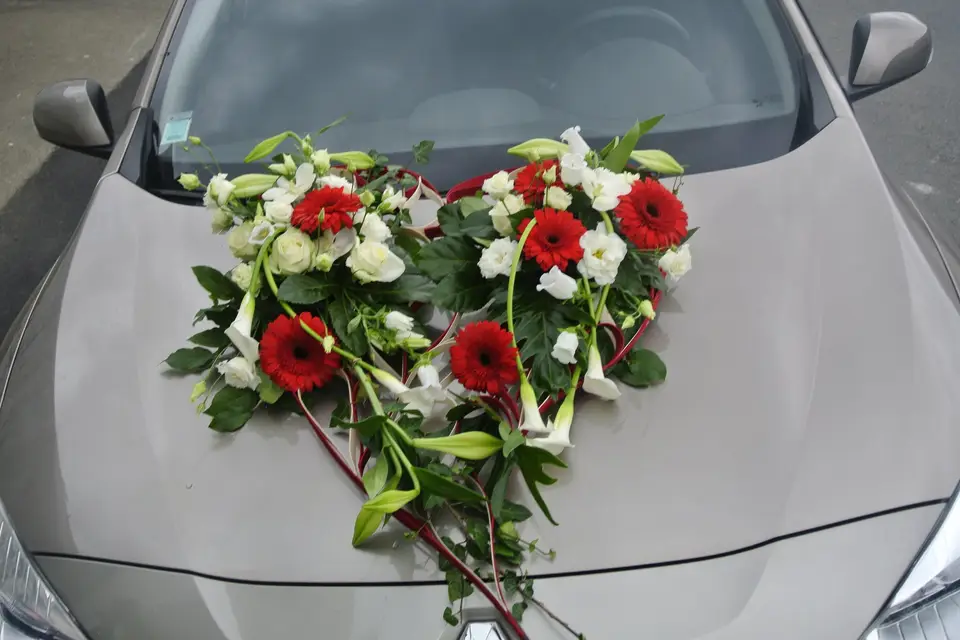 Comme une Fleur — photo 2