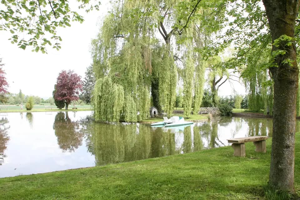 Château de Saulnat — photo 7