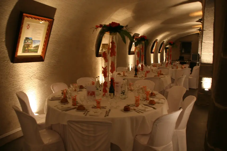 Château de Saulnat — photo 5