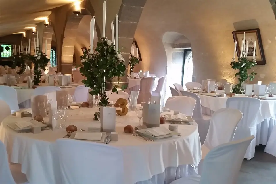 Château de Saulnat — photo 2