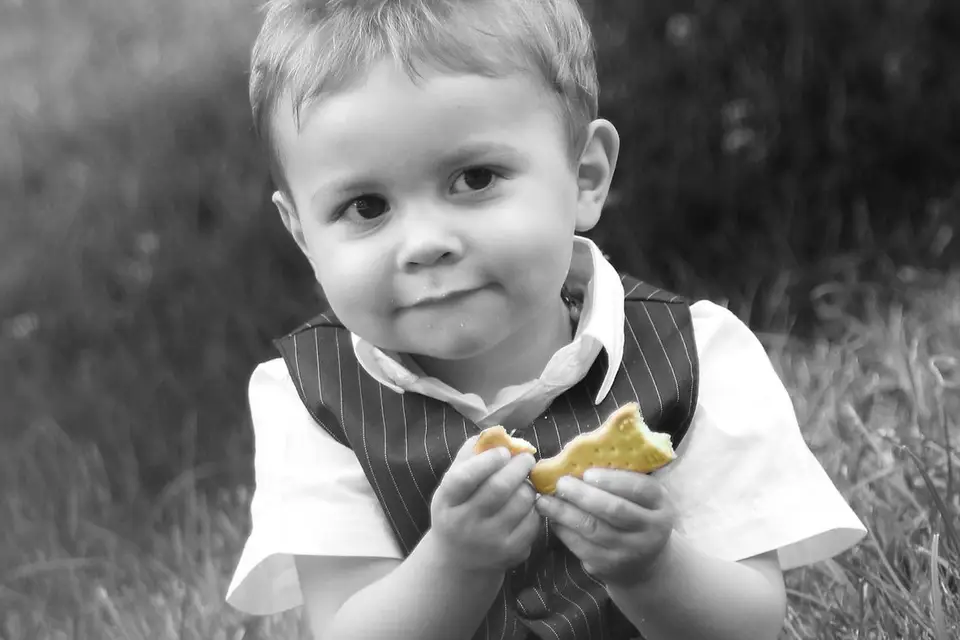 Photo Conseils — photo 5