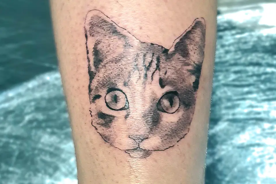 Encre & Promesses — photo 2