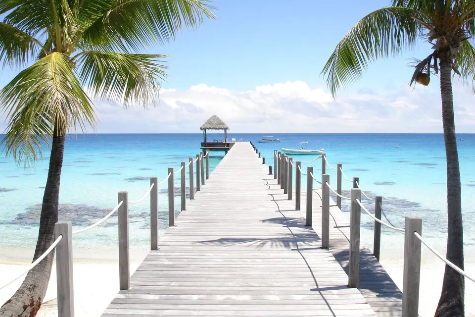 Addict Concierge — photo 7