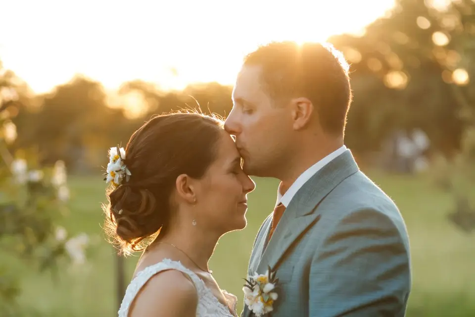 Alpha films — photo 4