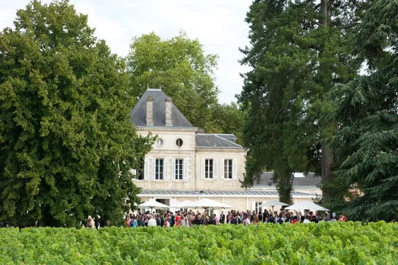 Château du Haut Nouchet — photo 4