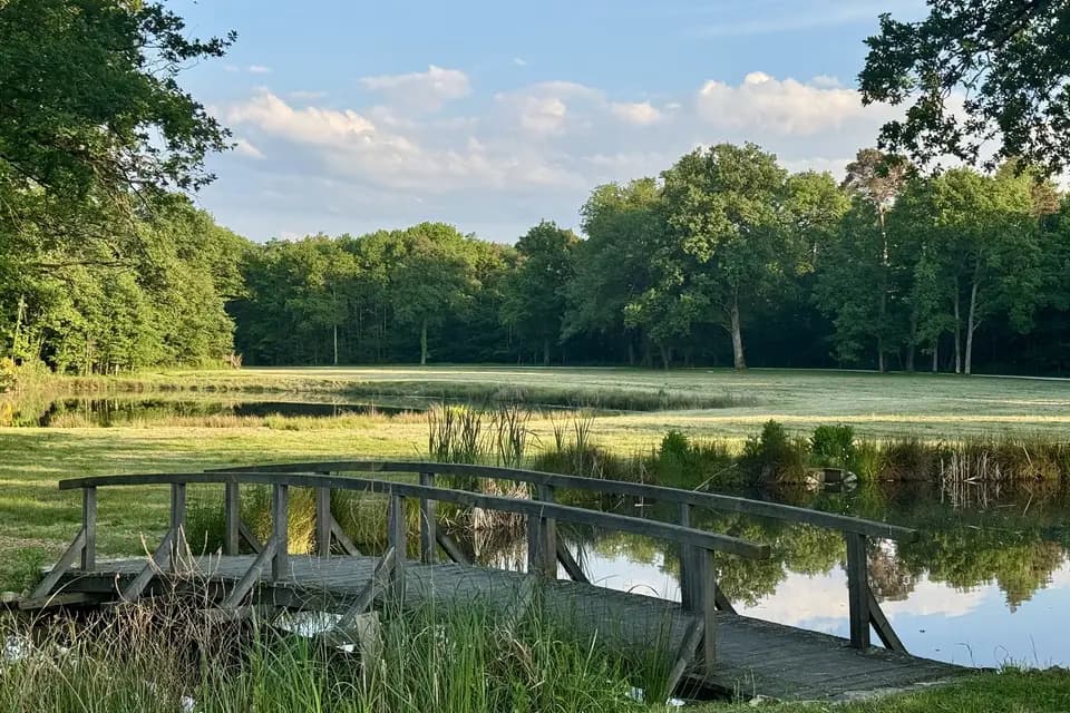 Les Hayes en Sologne — photo 3