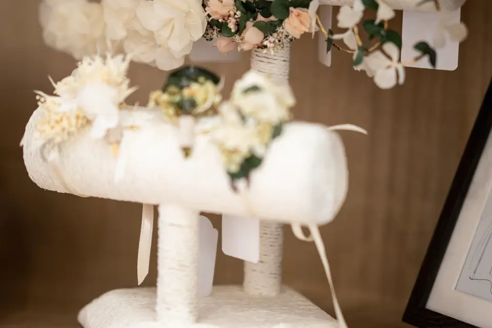 Histoires de Robes — photo 7