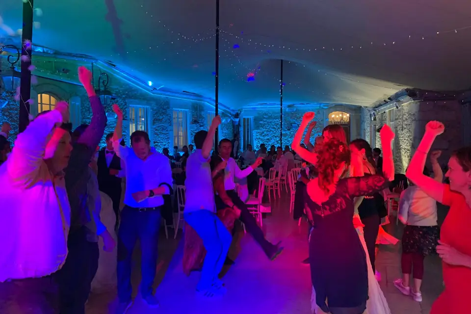 Animastar — photo 5