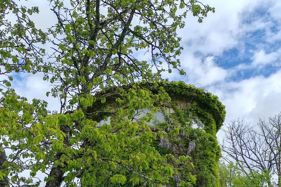 Chateau de Réaumont — photo 4