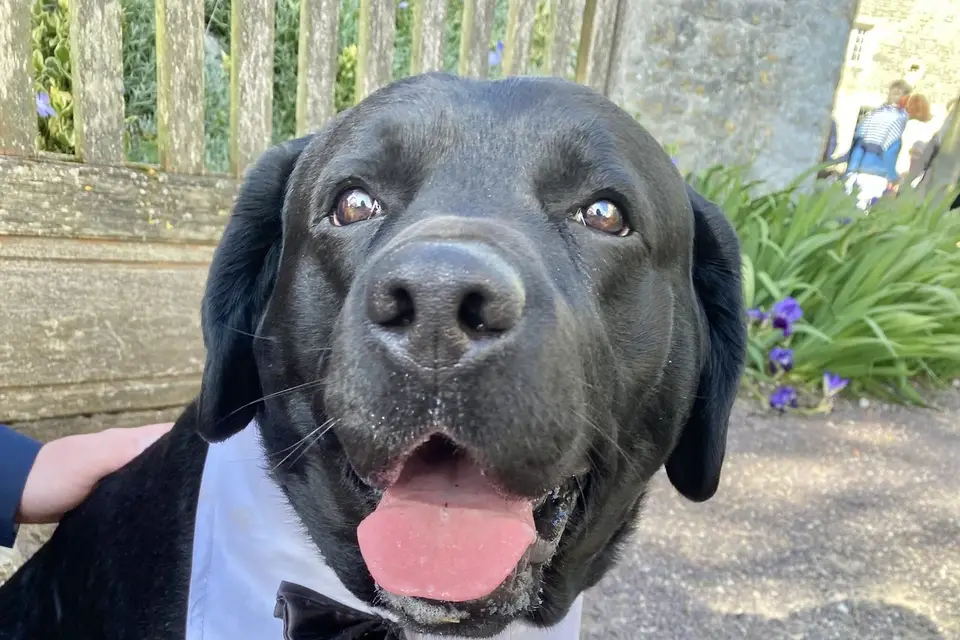 La Juste Plume Mariages — photo 6