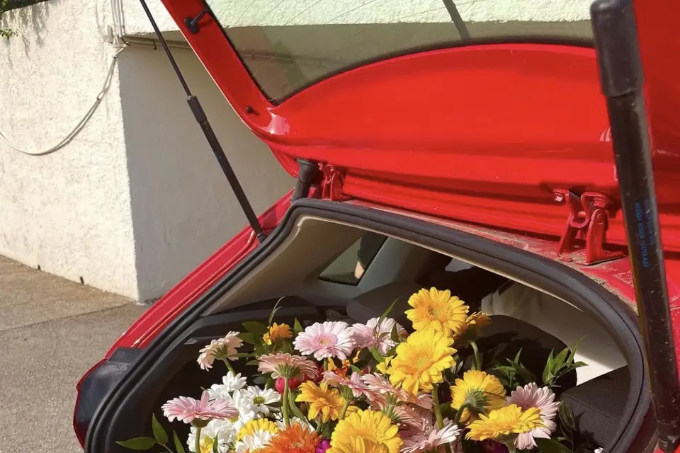 Atelier Margaux — photo 5