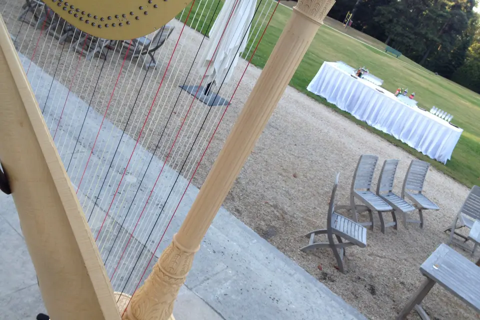 La Harpe en Folie — photo 1