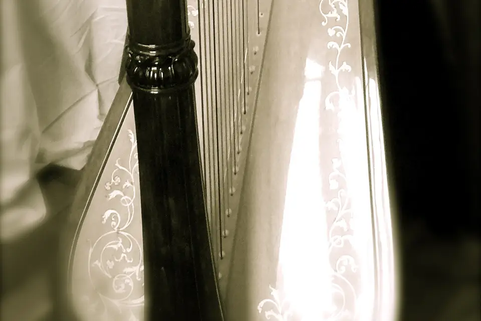 La Harpe en Folie — photo 4