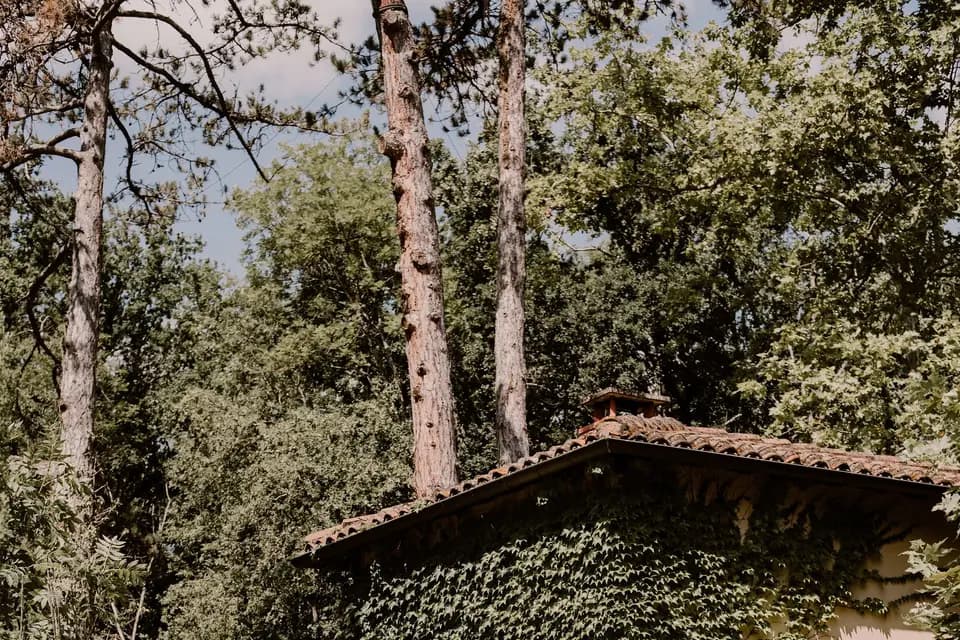 Le Domaine des Tuileries — photo 6