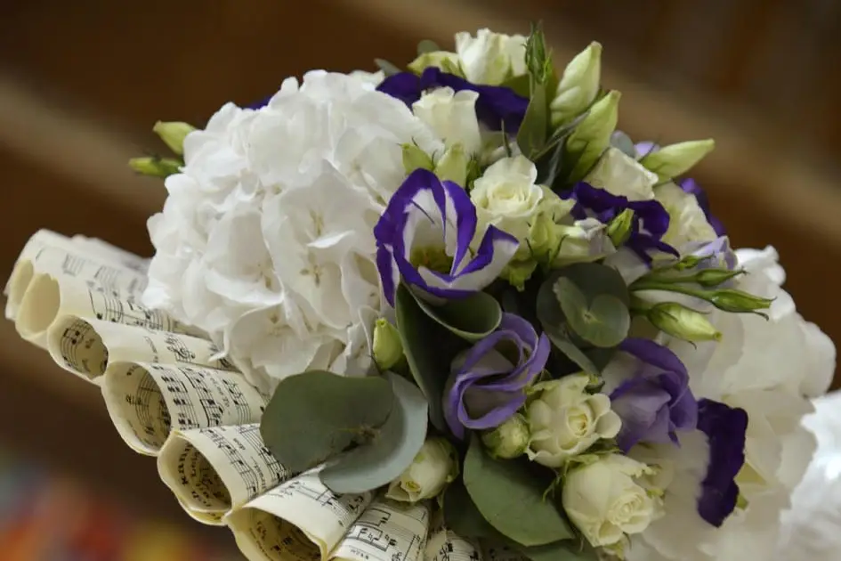 Marie-George Stavelot Photographe — photo 7