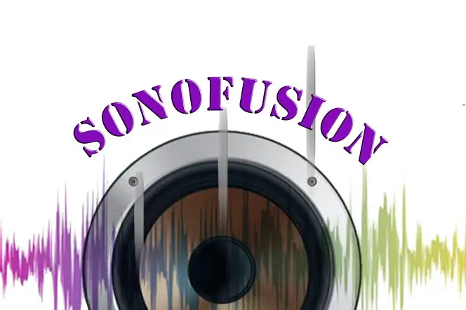 Sonofusion — photo 8