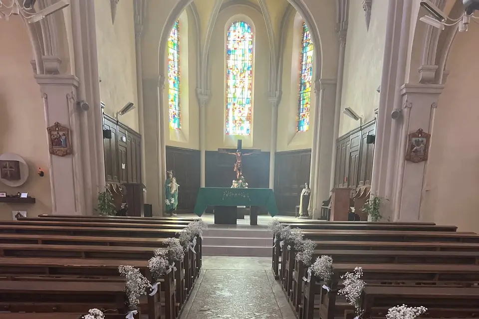 Celosia Fleurs — photo 1