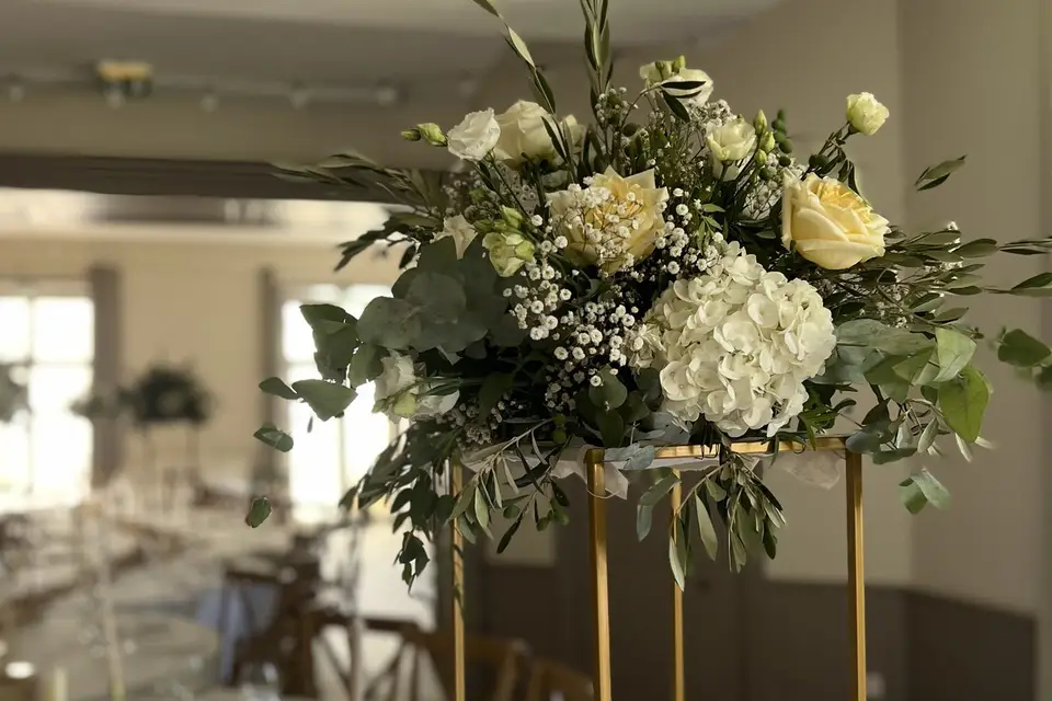 Celosia Fleurs — photo 2