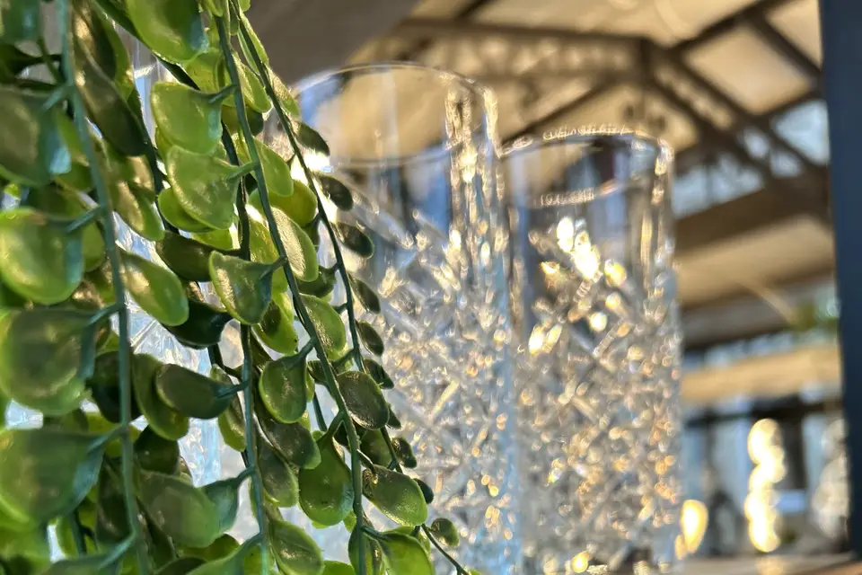 Pablo Cocktails — photo 3