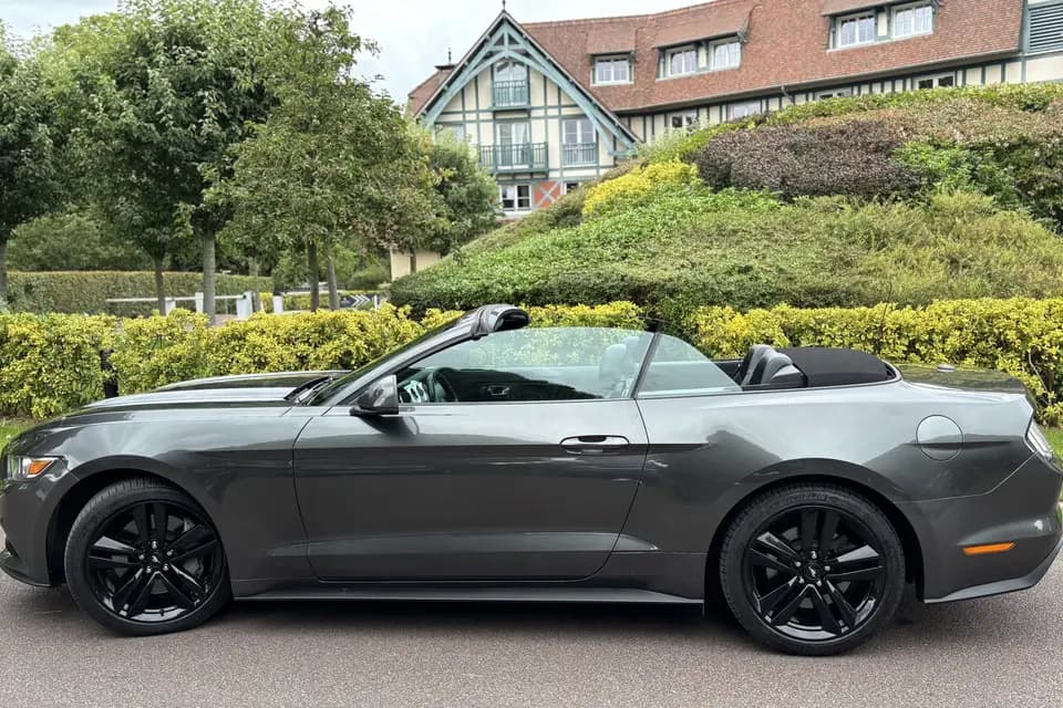 Mustang Cherif Philippe — photo 7