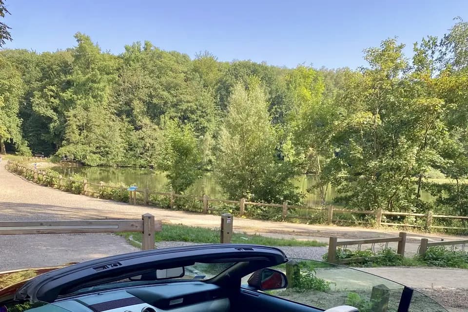 Mustang Cherif Philippe — photo 3