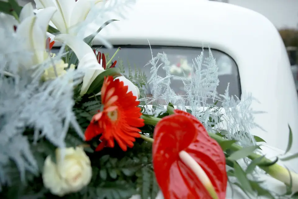 Christel Fleurs — photo 3