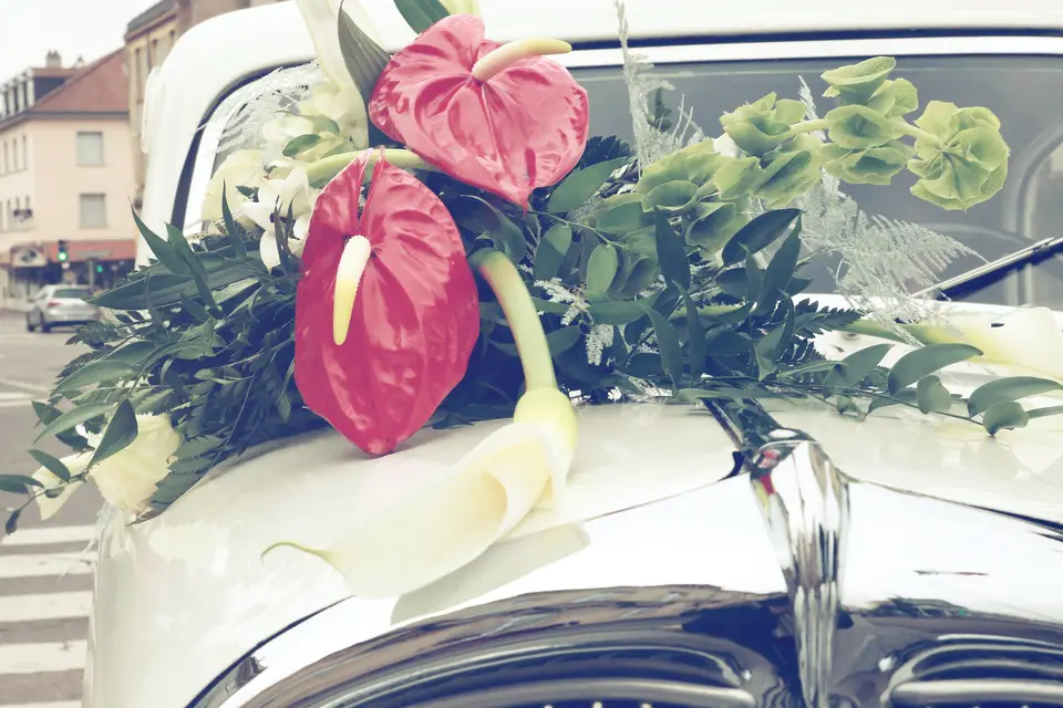 Christel Fleurs — photo 2