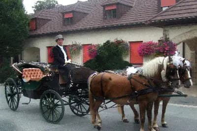 1000 Ans d'Histoire — photo 1