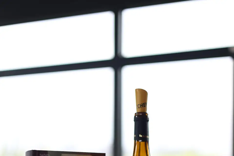 Domaine du Vieux Pressoir