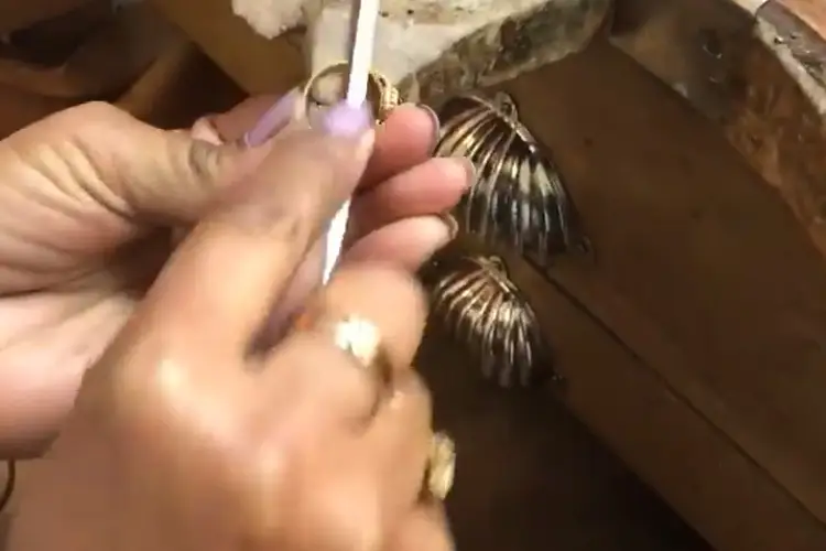 Bijouterie Doreille — photo 2