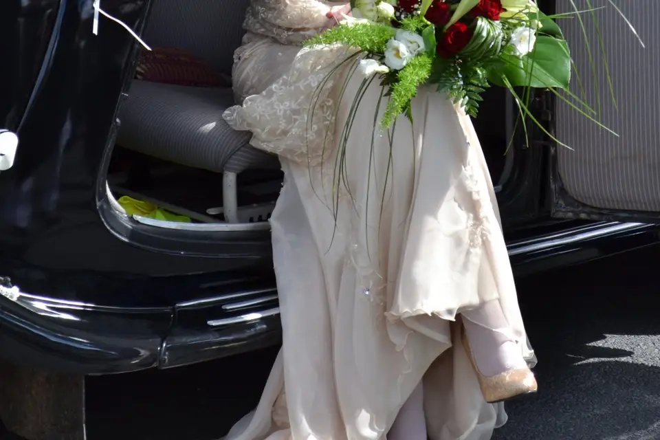 Focusdom Photographe — photo 7