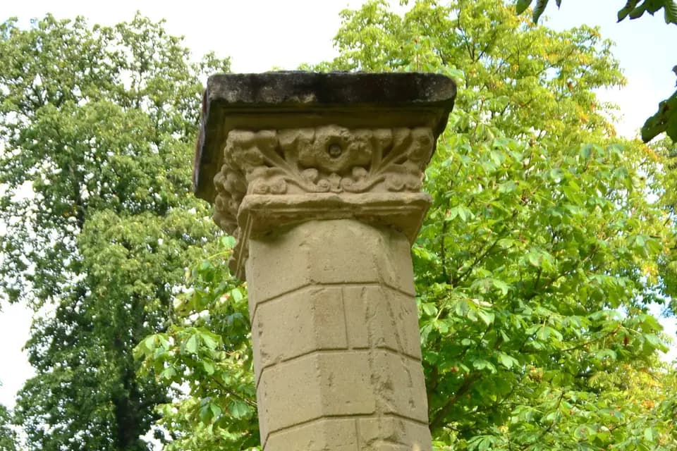 Focusdom Photographe — photo 4