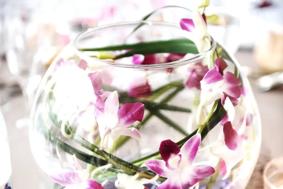 Glorihousse — photo 3