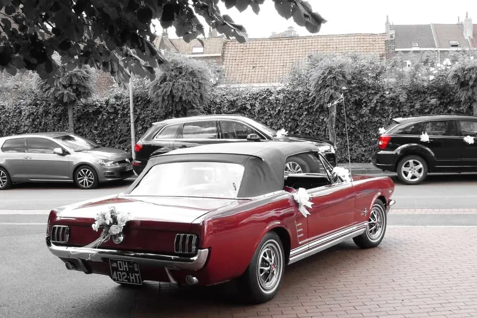 Benoit Vouters — photo 1