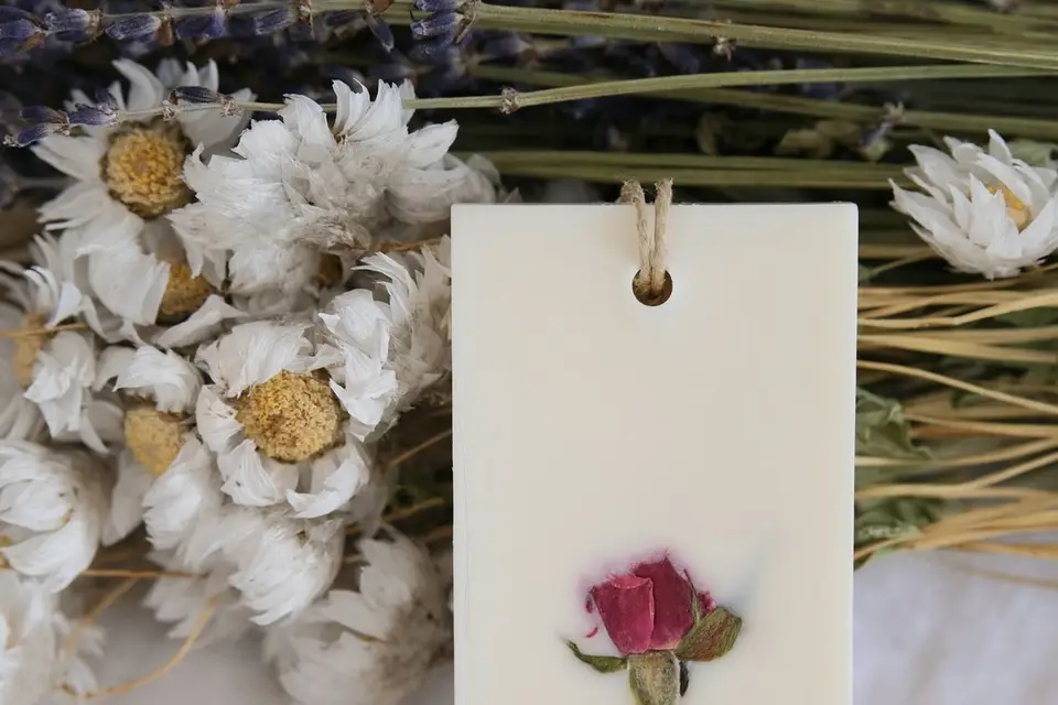 Les états d'âme de Susan — photo 2