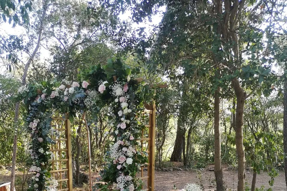 Fleurs du Boutonnet — photo 3