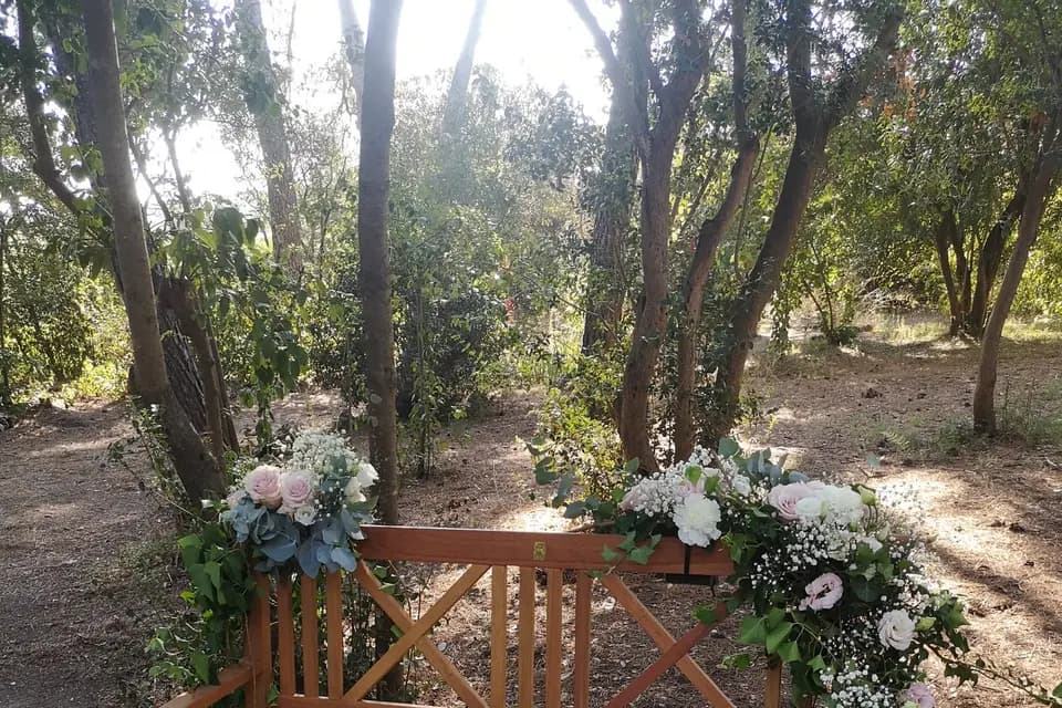 Fleurs du Boutonnet — photo 2