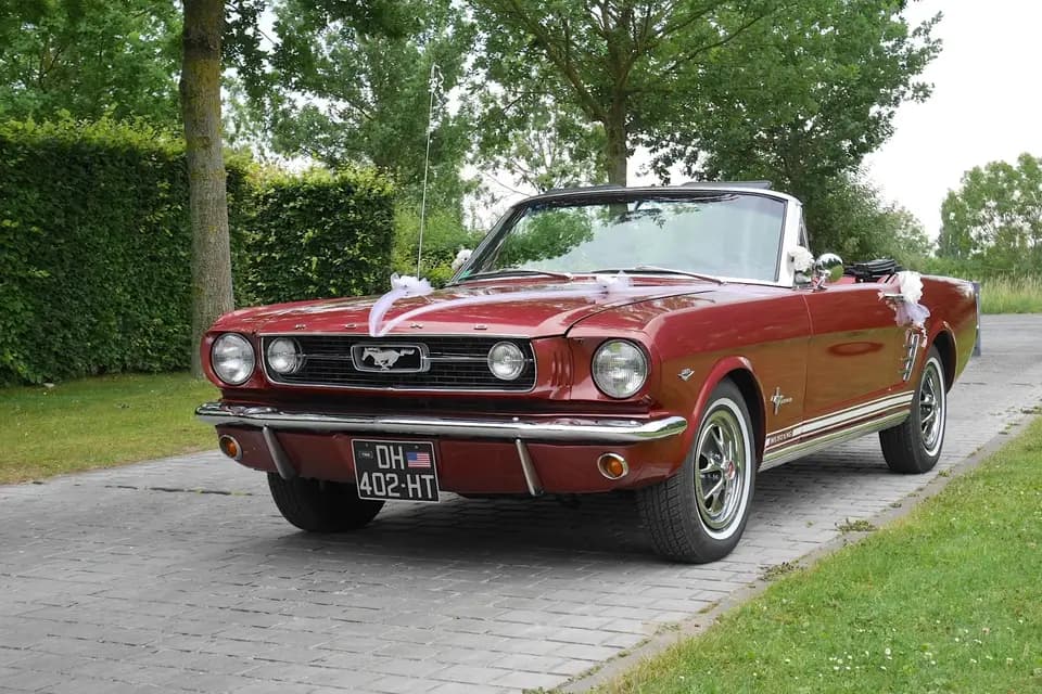 Benoit Vouters — photo 2