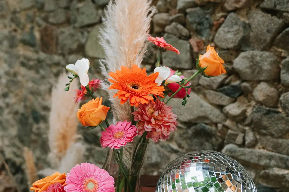 Les Deux Loups Photographie — photo 2