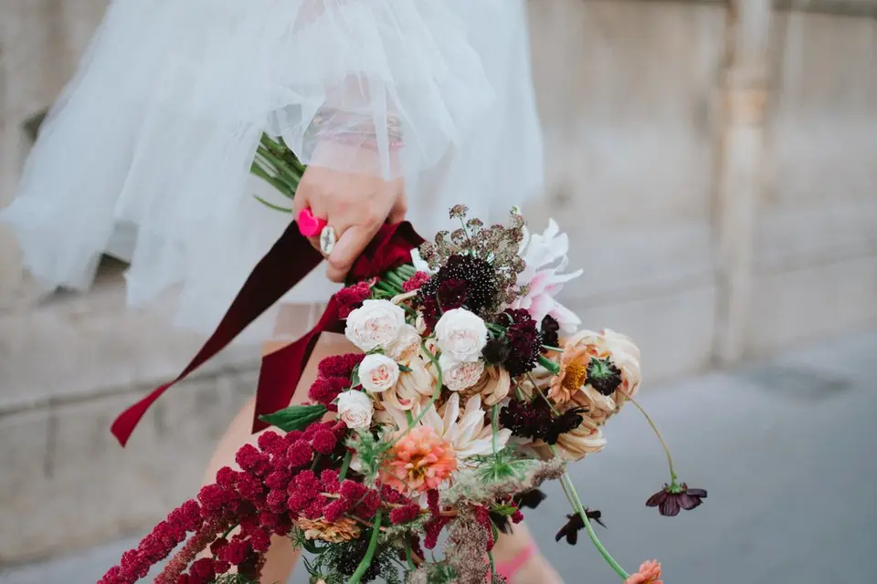 Les Deux Loups Photographie — photo 3